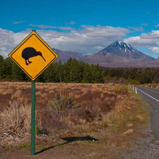 Kiwi warning sign with volcano in the  rear