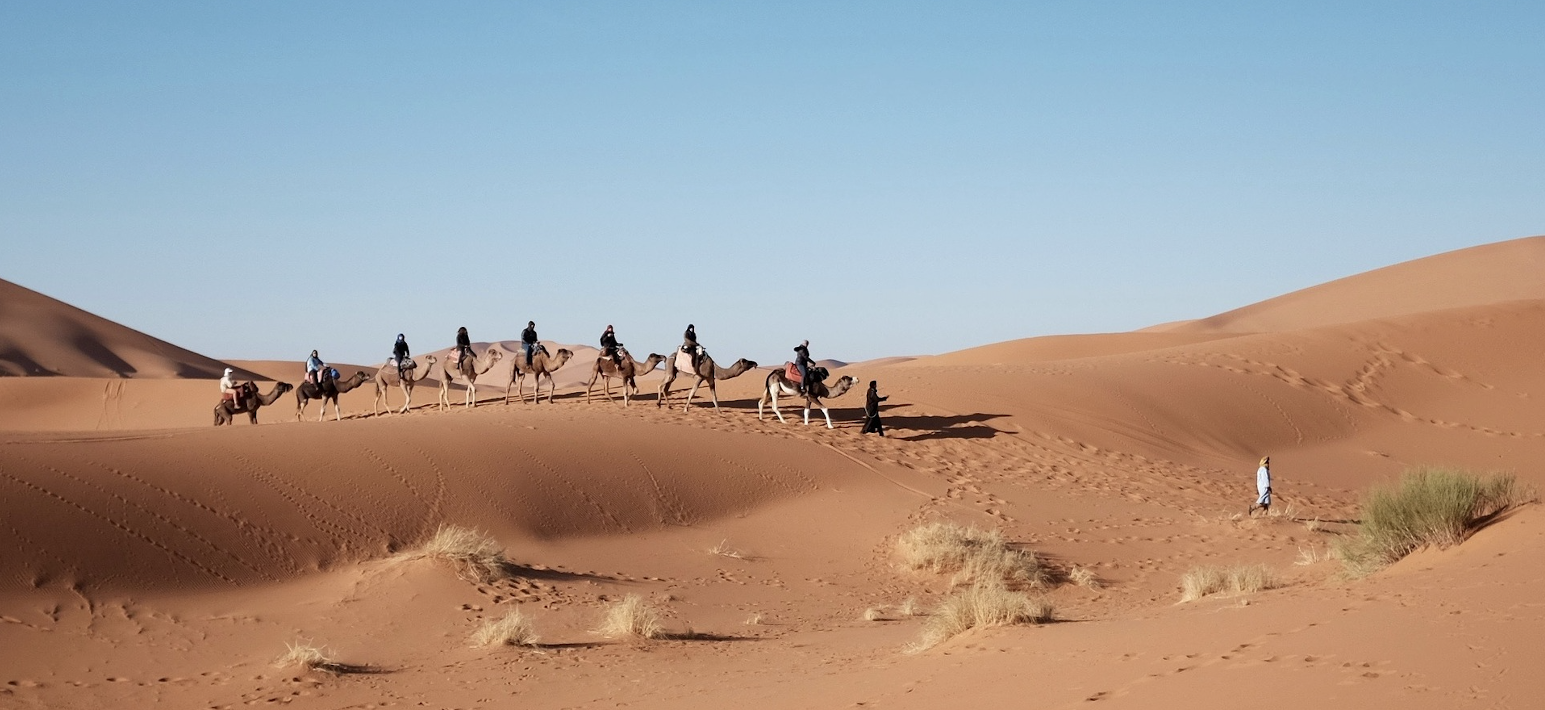 "deserto del sahara"