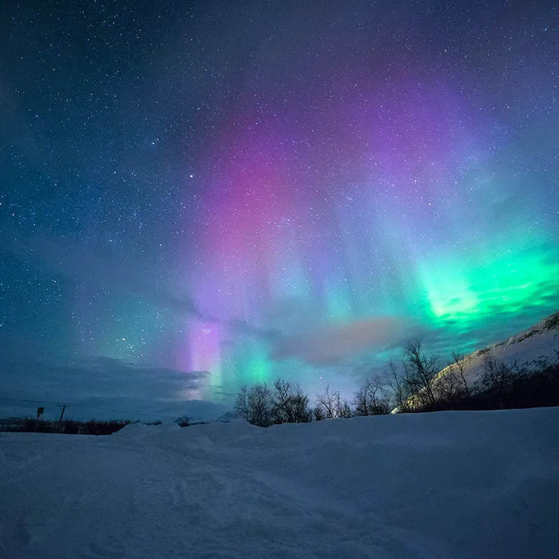 aurora_800x800