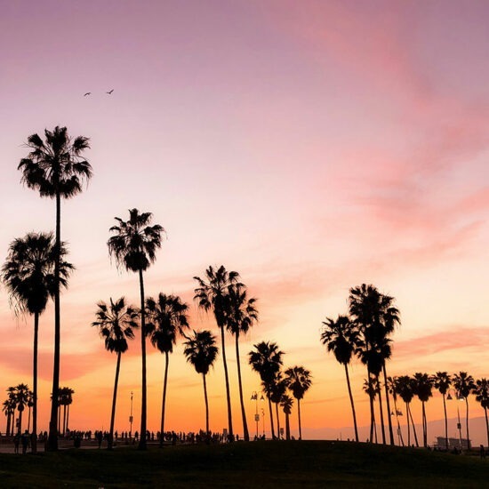 california-del-sud