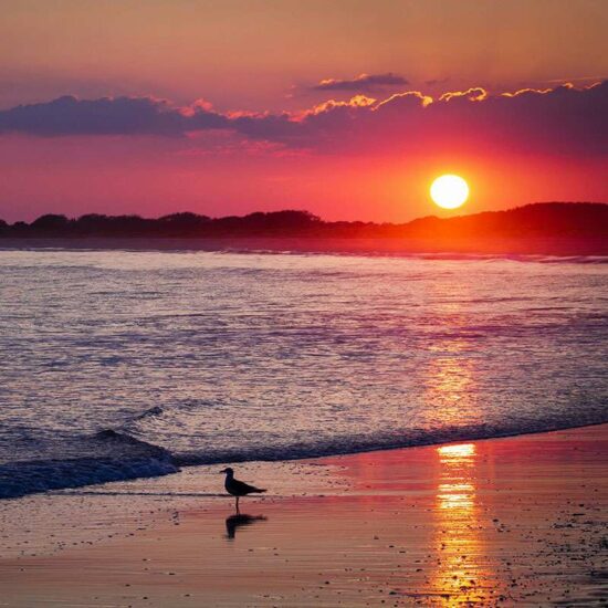 Cape May