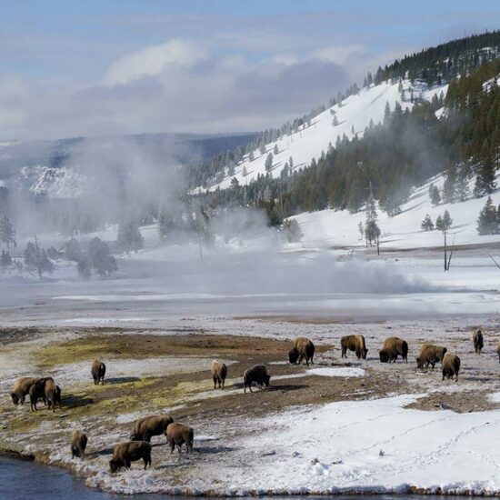 yellowstone-winter