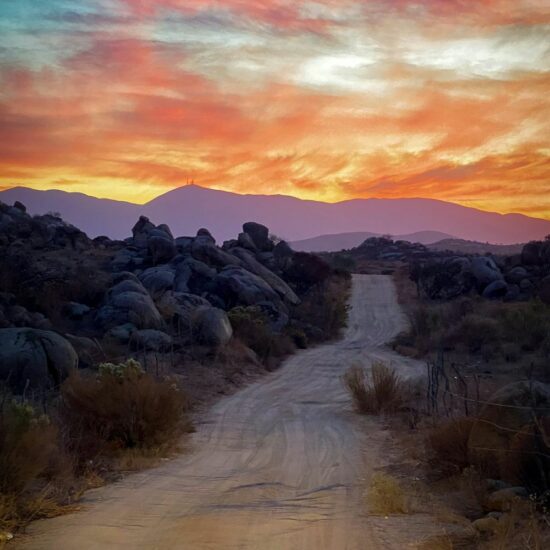 1000×1000 – Evidenza programmi