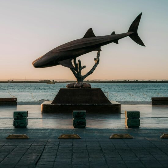 1000×1000 – Evidenza programmi