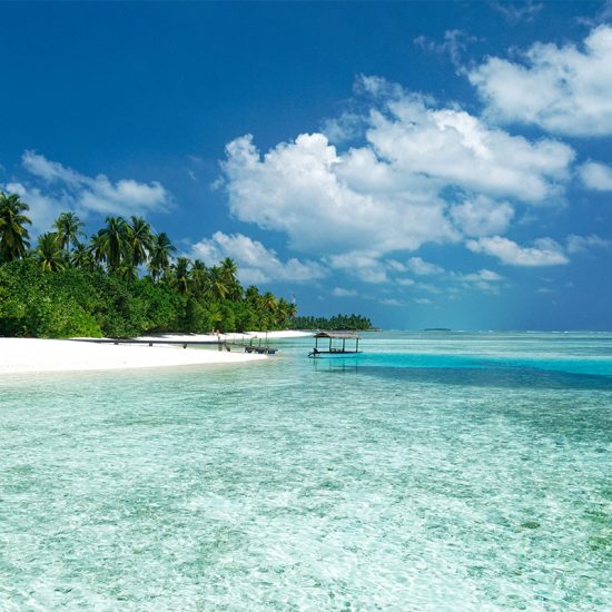 tropical2_preview