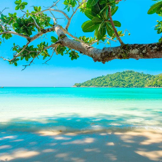 tropical_preview