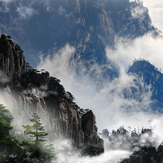 cina_12