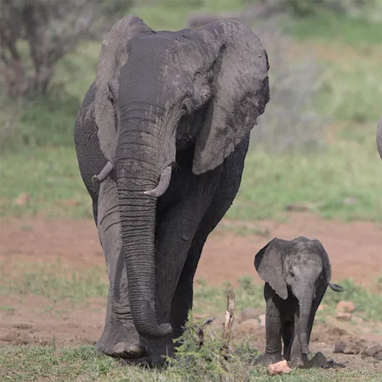 sudafrica_1