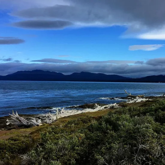 punta_arenas_argentina