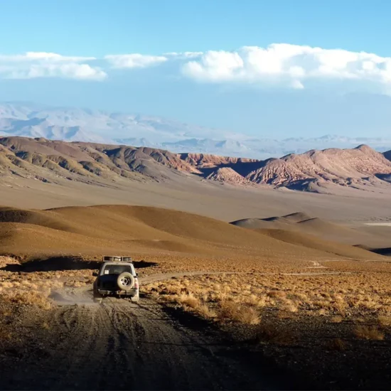 self_drive_argentina