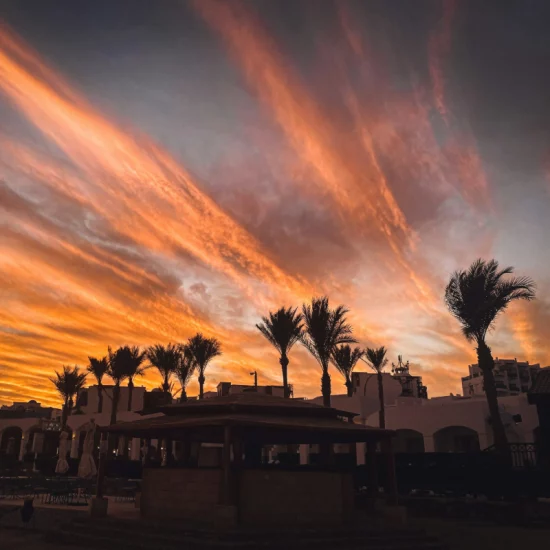 alexander-popovkin-mSfnpjvsNPY-unsplash (2)