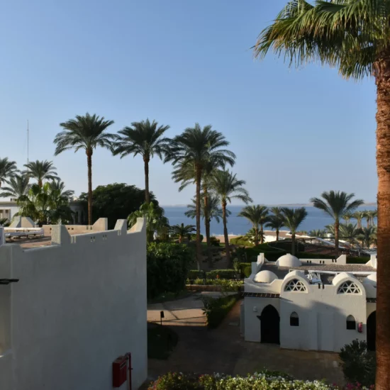 anastasiia-popova-gQIzZ_XO5l8-unsplash (2)