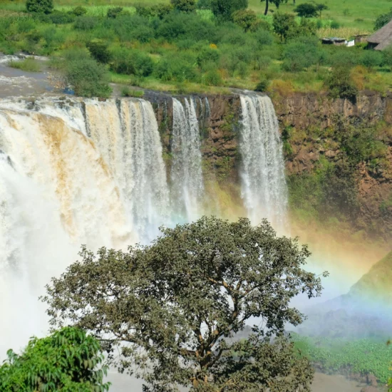 daniele-levis-pelusi-pvOaeing9E0-unsplash (2)