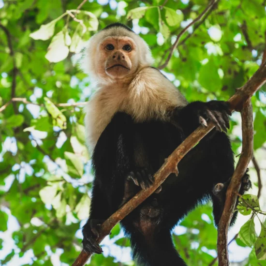 etienne-delorieux-NZpl4yxYcMg-unsplash (1)