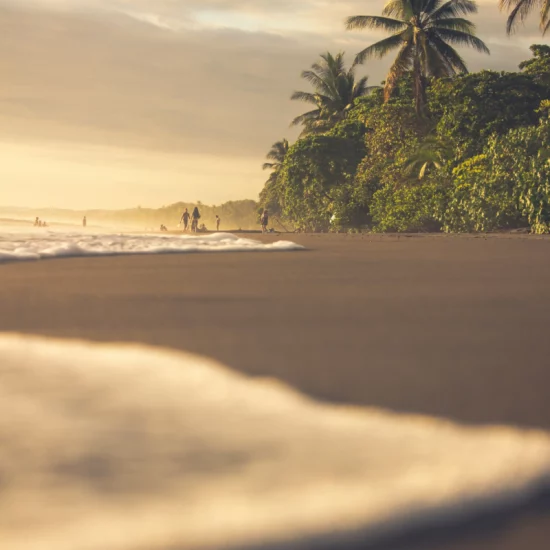 fabian-marin-zuniga-wzEQqi-nQPk-unsplash (2)