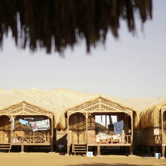 green-prophet-Ro_sr47sToI-unsplash (2)