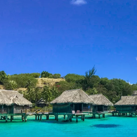 jo-barnes-KyvrqzALBb4-unsplash (1) (1)