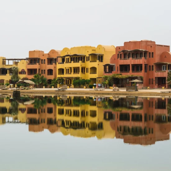 levi-morsy-3VsSOtf26j0-unsplash (2)