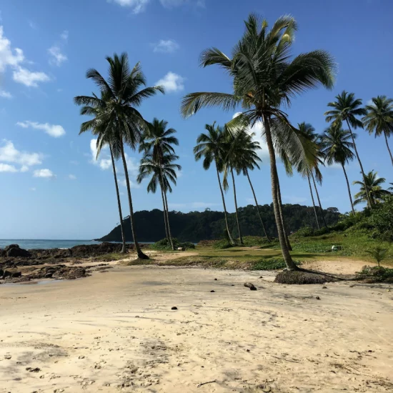 mr-sobau-b325A2xzj-8-unsplash (1)