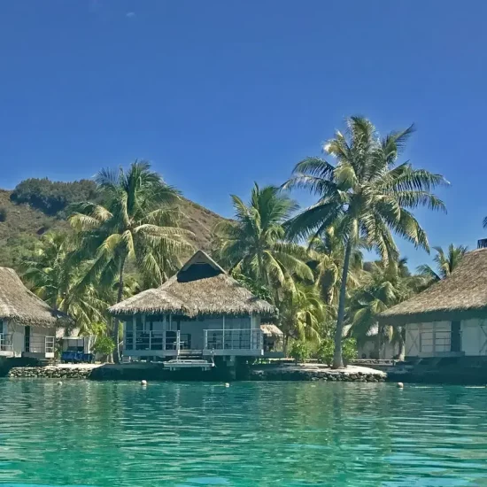 tomas-gonzalez-de-rosenzweig-tF0izq7URoo-unsplash (1)