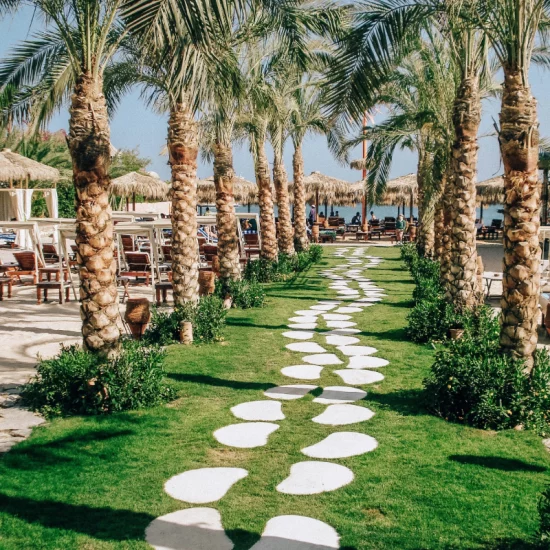 vegan-oazis-arn3YKR91uo-unsplash (2)