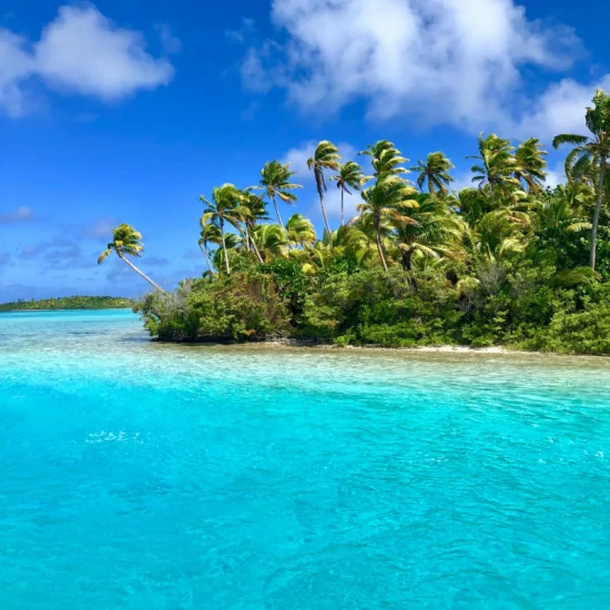 yvette-goldberg-JGmuEnZ8Yxk-unsplash_11zon (1)